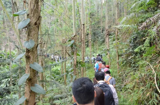 永信贵宾会-欢迎您