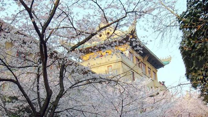 永信贵宾会-欢迎您