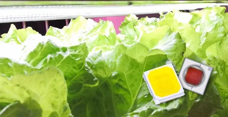 永信贵宾会-欢迎您