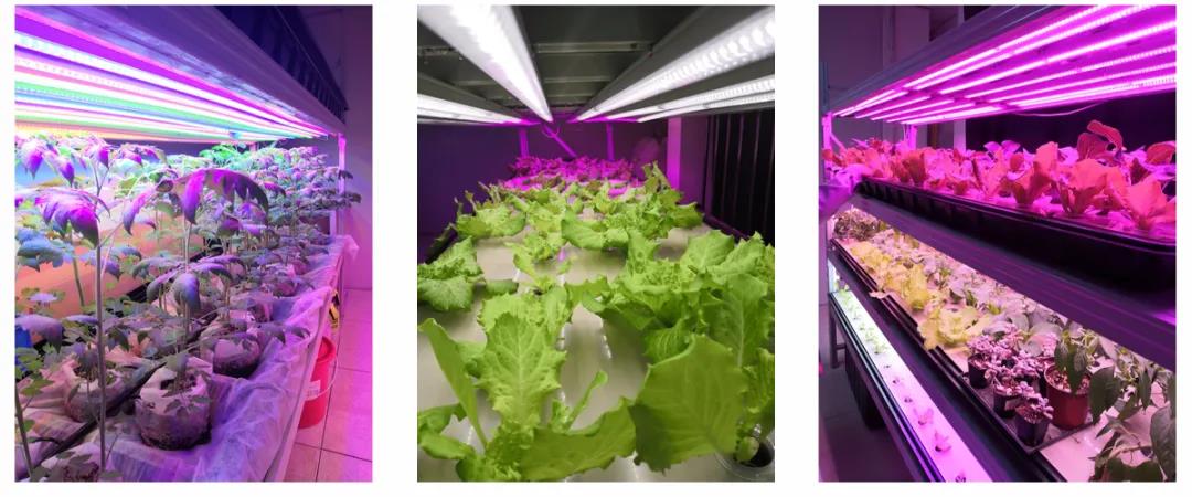 永信贵宾会-欢迎您