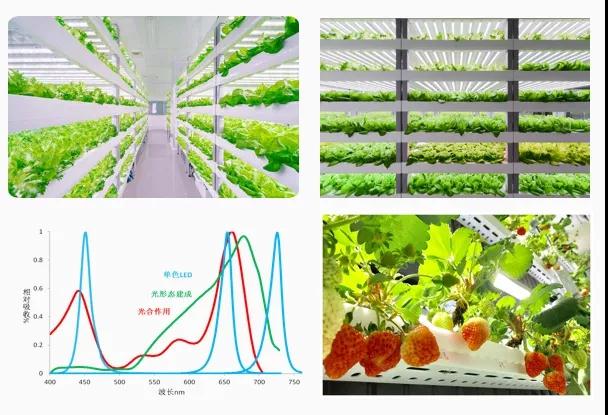 永信贵宾会-欢迎您